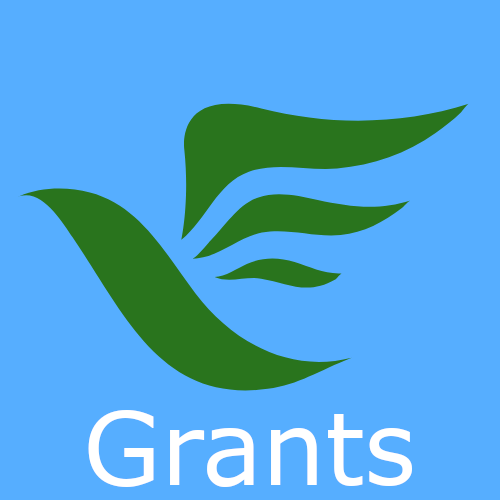 Apply for Grants button